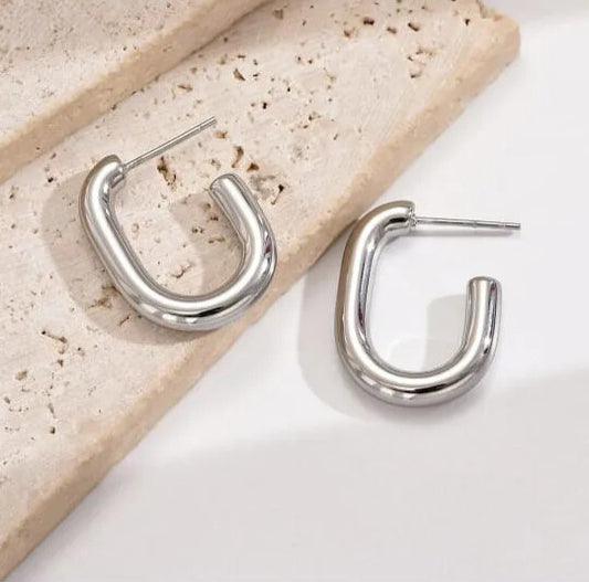 Silvery Earrings